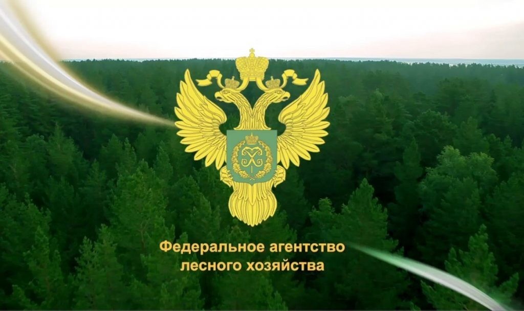 Совещание с участием представителей Федерального агентства лесного хозяйства