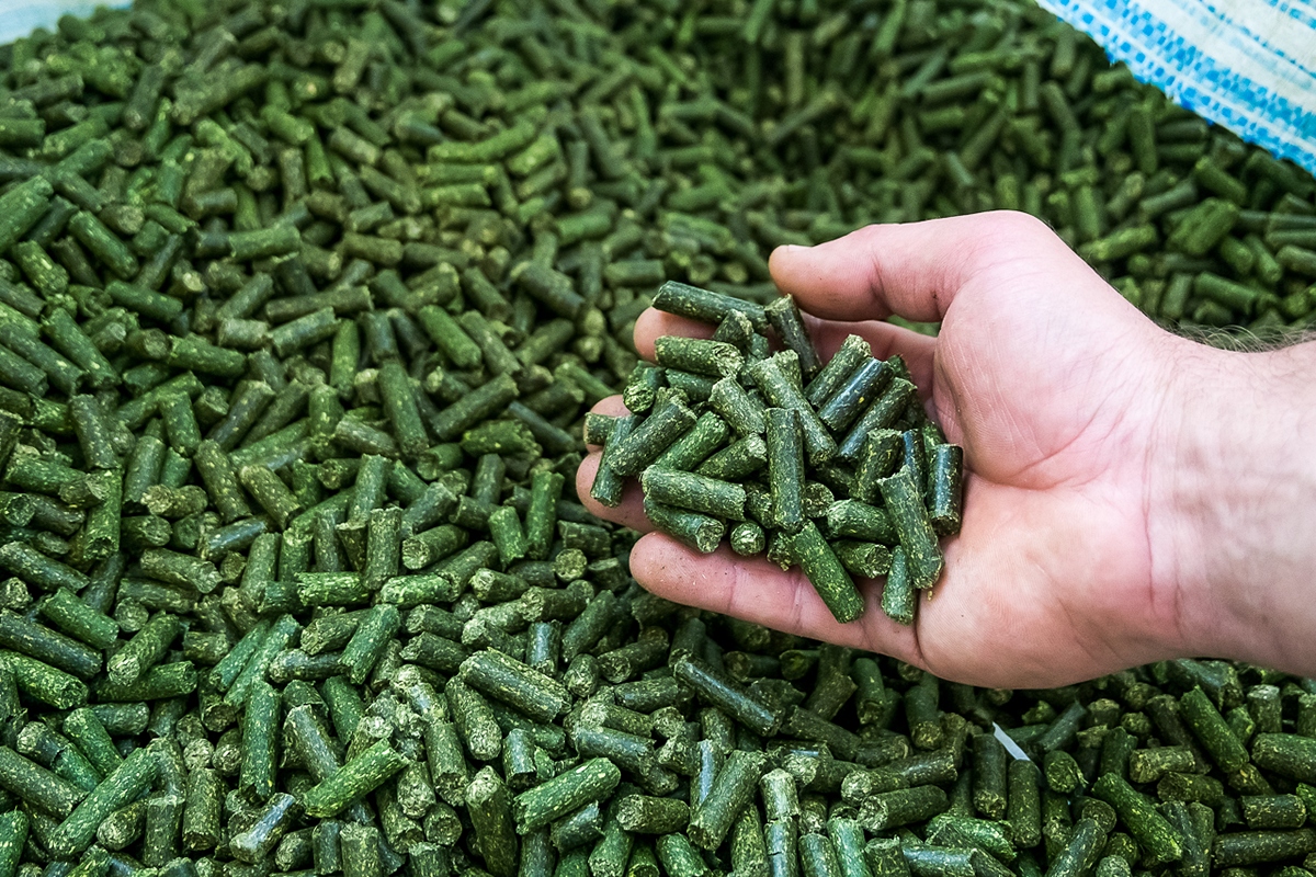 Специалисты «Доза-Гран» запускают завод витаминно-травяной муки в Омской области 