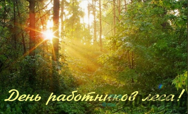 Жизнь компании | День работников леса