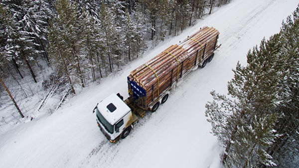 Матвиенко предложила ввести эмбарго на экспорт леса из России